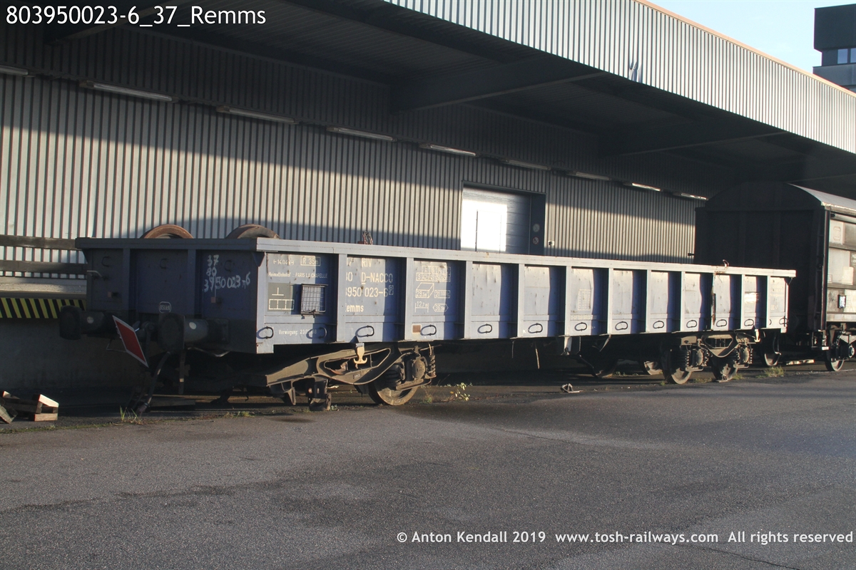 803950023-6_37_Remms.JPG